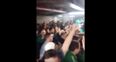 WATCH: Irish fans went absolutely nuts for Shane Long at half-time in the Ireland match