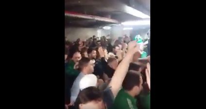 WATCH: Irish fans went absolutely nuts for Shane Long at half-time in the Ireland match