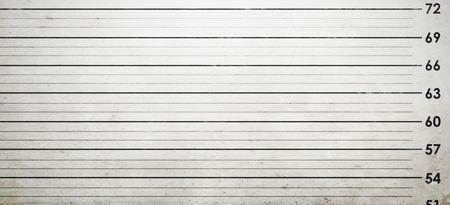 PIC: This woman’s outrageously attractive mugshot has earned her the nickname ‘PrisonBae’