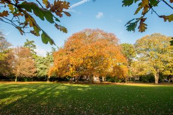 A cold winter ahead but some good news for the weekend weather