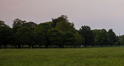 PIC: These two photos of the same location in Phoenix Park taken exactly six months apart are class