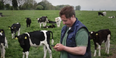VIDEO: Herdwatch is changing Irish farmers’ lives for the better