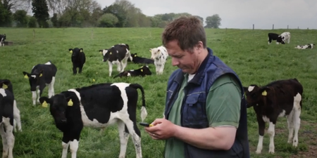 VIDEO: Herdwatch is changing Irish farmers’ lives for the better