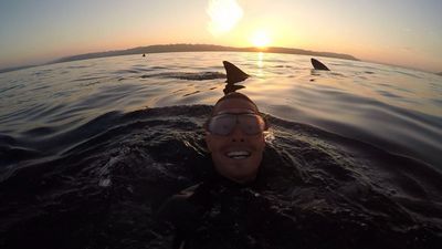 VIDEOS: Awesome footage shows Cork fellas swimming with basking sharks