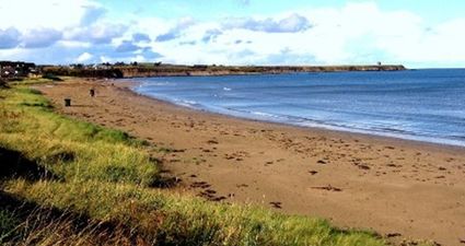 Swimming is forbidden in four Dublin beaches due to contaminated water