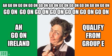 PICS: Six more fantastic Father Ted flags for Euros flag-spiration