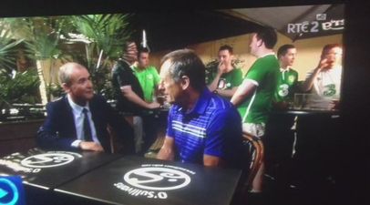 VIDEO: You should never work with children, animals or Ireland fans on live TV