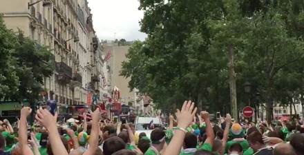 VIDEO: Lone man climbs on van, does striptease for 1000s of Irish fans (NSFW)