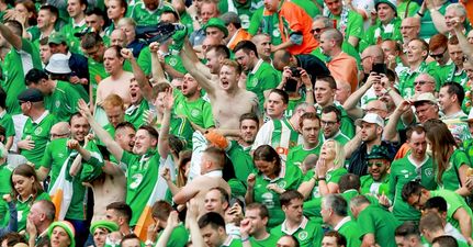 PIC: Great image shows Irish fans changing tyre for elderly couple in Paris