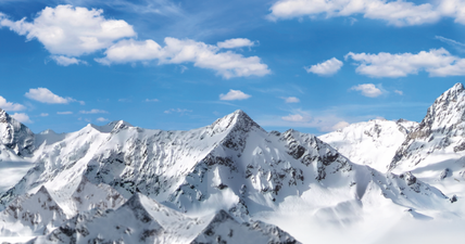 PICS: These guys REALLY love the cold