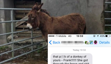 PIC: Irish fella receives text from his Mammy after his donkey went on the rampage