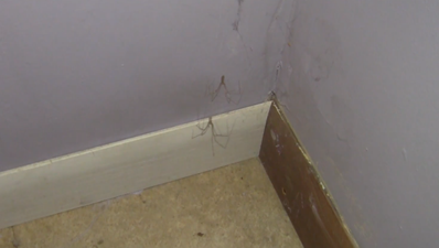 VIDEO: This man has an ingenious method of getting rid of spiders