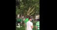 WATCH: Irish fan in Lille gets stuck in a tree retrieving football, is cheered on by the crowd
