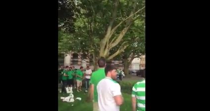WATCH: Irish fan in Lille gets stuck in a tree retrieving football, is cheered on by the crowd