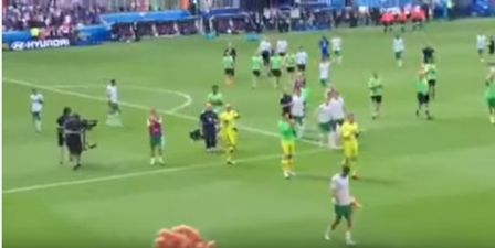 VIDEO: Footage of the Irish players being hailed by the supporters in Lyon