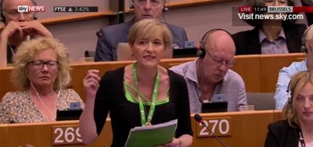 VIDEO: Farage goads the EU on Brexit while Sinn Fein MEP slams the treatment of Northern Irish voters