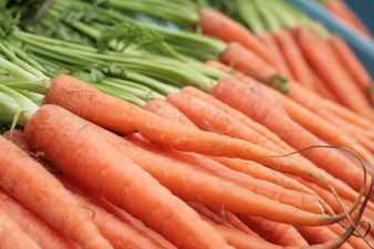 PIC: This weird carrot looks like one of Frankenstein’s limbs
