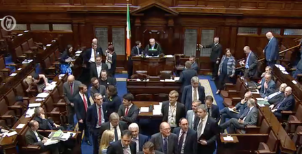 Bill on abortion in cases of fatal foetal abnormalities defeated by Dáil vote