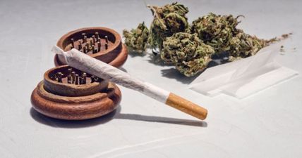 New Zealand to have referendum on recreational cannabis