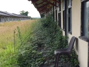 WATCH: Once a beloved Irish holiday camp, Mosney is now in a sorry, sorry state