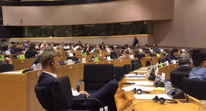 Luke ‘Ming’ Flanagan lashes out at his fellow Irish MEPs in angry Facebook post