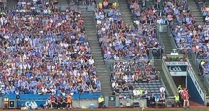 PIC: Amazing shot of the streaker at Leinster football final mid-pose (NSFW)