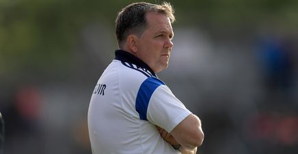 Davy Fitzgerald has been ratified as the new manager of Wexford