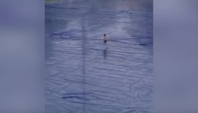 WATCH: Streaker sent to jail for one of the greatest streaker runs in recent memory