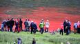 120 whales slaughtered in Faroe Islands this week as part of grindadráp