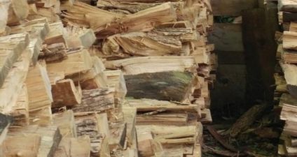 PIC: You will not be able to find the cat hidden amongst these logs