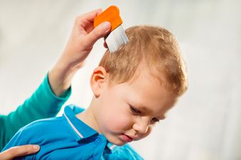 Very bad head lice news for parents of children heading back to school