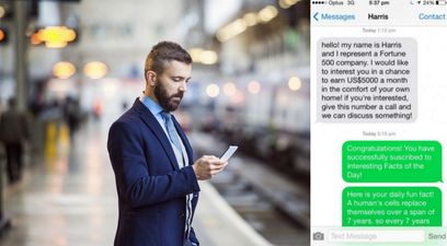 PICS: This man had a brilliant response to a spam business text