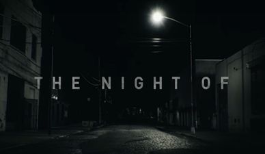 People are raving about the new TV show that has been hailed as 2016’s best one