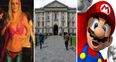 7 pretty odd Irish college courses that we’re fascinated by