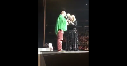 WATCH: Adele brought an Irishman and his dog onstage at her concert and the crowd loved it