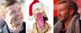 Brian O’Driscoll, Robbie Savage and Dustin the Turkey are having the craic on Twittter