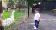 WATCH: Dublin infant stages a showdown with some angry geese