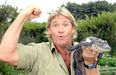 A very touching letter from Steve Irwin has been discovered ten years after his death