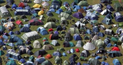 PIC: This poor fella at Electric Picnic was in an awful state