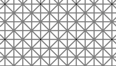PIC: This optical illusion is driving the internet crazy