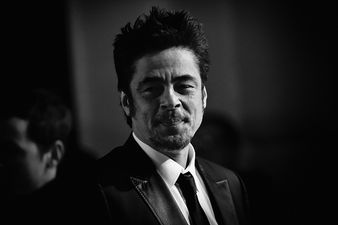 Benicio del Toro set to star in the next Predator movie