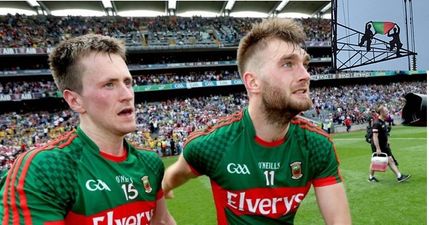 PICS: The Mayo for Sam campaign has officially gone to ridiculous heights