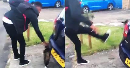 VIDEO: Heartless sicko coaxes cat towards him before viciously booting it (Graphic content)