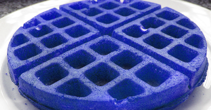 13 disgusting things everyone got tricked into googling at school