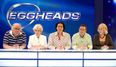 Former Eggheads star has been arrested on suspicion of murder