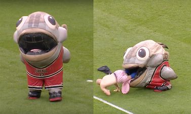 WATCH: Man-eating fish provides brilliant half-time entertainment at Derby’s Pride Park