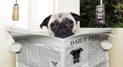 WATCH: This Kildare park has an ingenious way of forcing people to clean up their dog’s poop