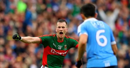 PIC: These ‘Mayo lattés’ are flying out the door of a Longford café