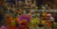 ‘80s kids rejoice, Fraggle Rock is making a comeback