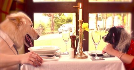 WATCH: Galway hotel wins industry award for the funniest video